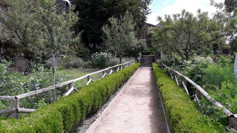 Jardin de la Cure de Mortagne sur Sèvre