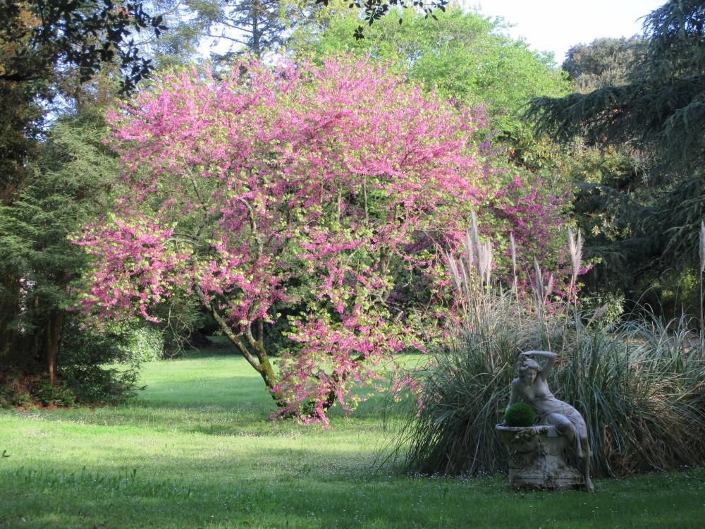 jardin à Rocheserviere