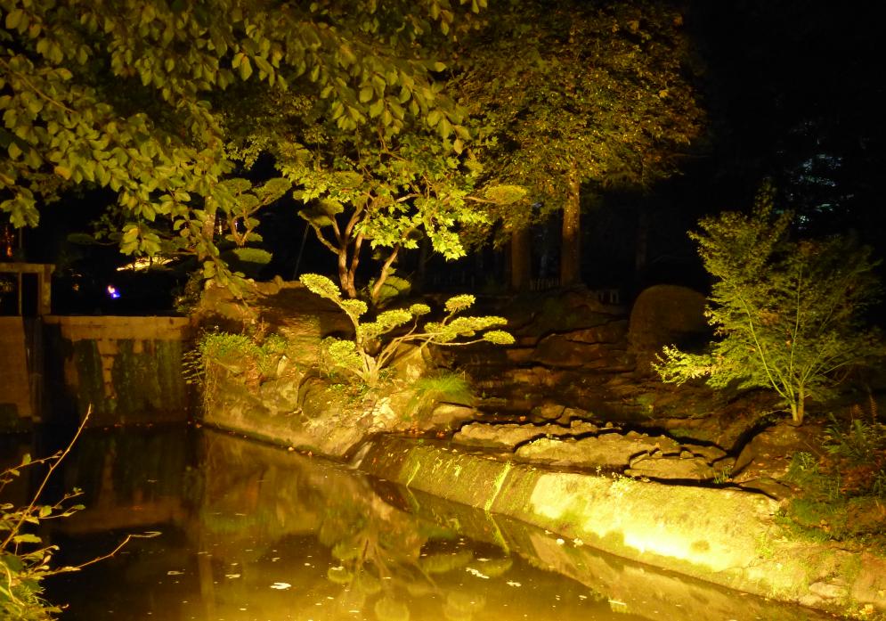 Reflets, la nuit, dans le Parc Oriental de Maulévrier